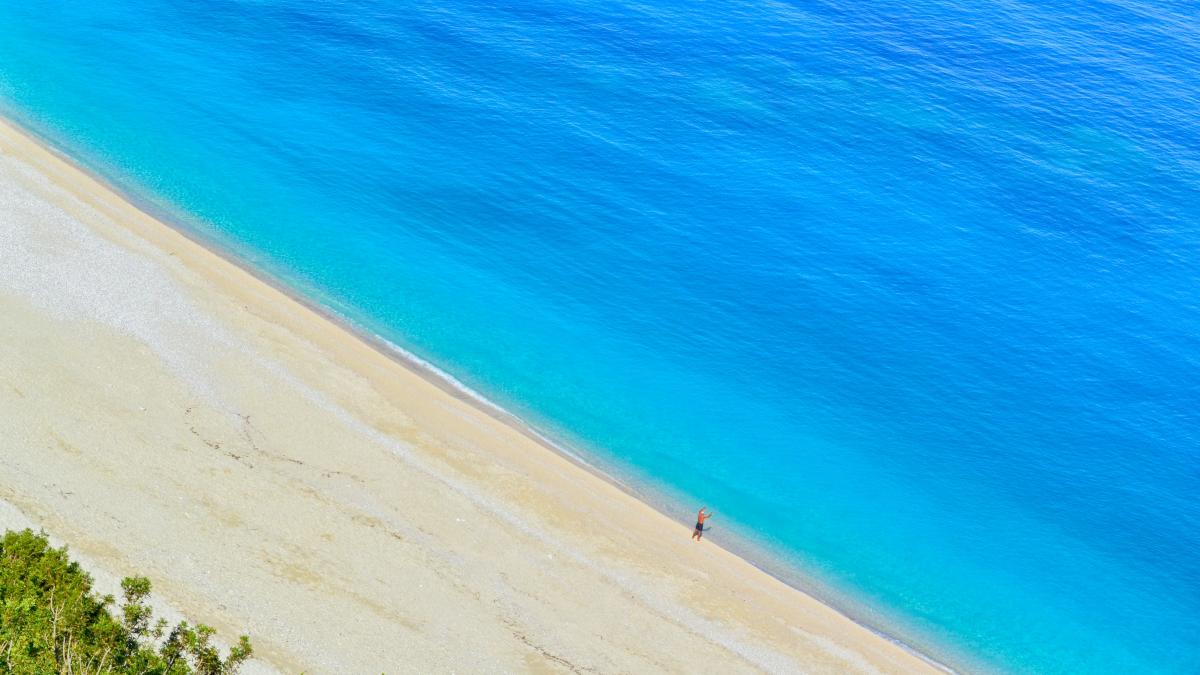 pexels-dana-tentis-729169_13686300