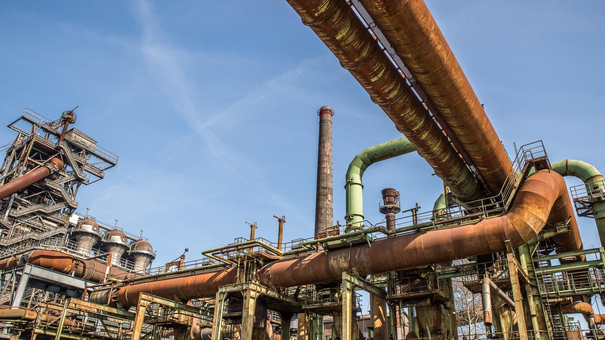 pexels-mike-van-schoonderwalt-5503867_76308100