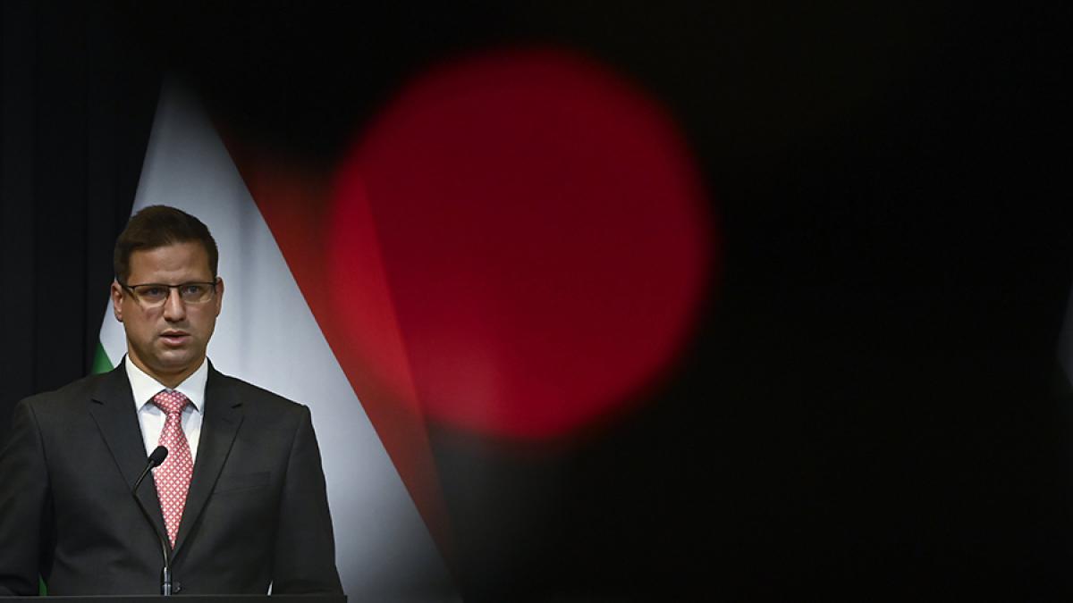 gulyas-gergely_60016900