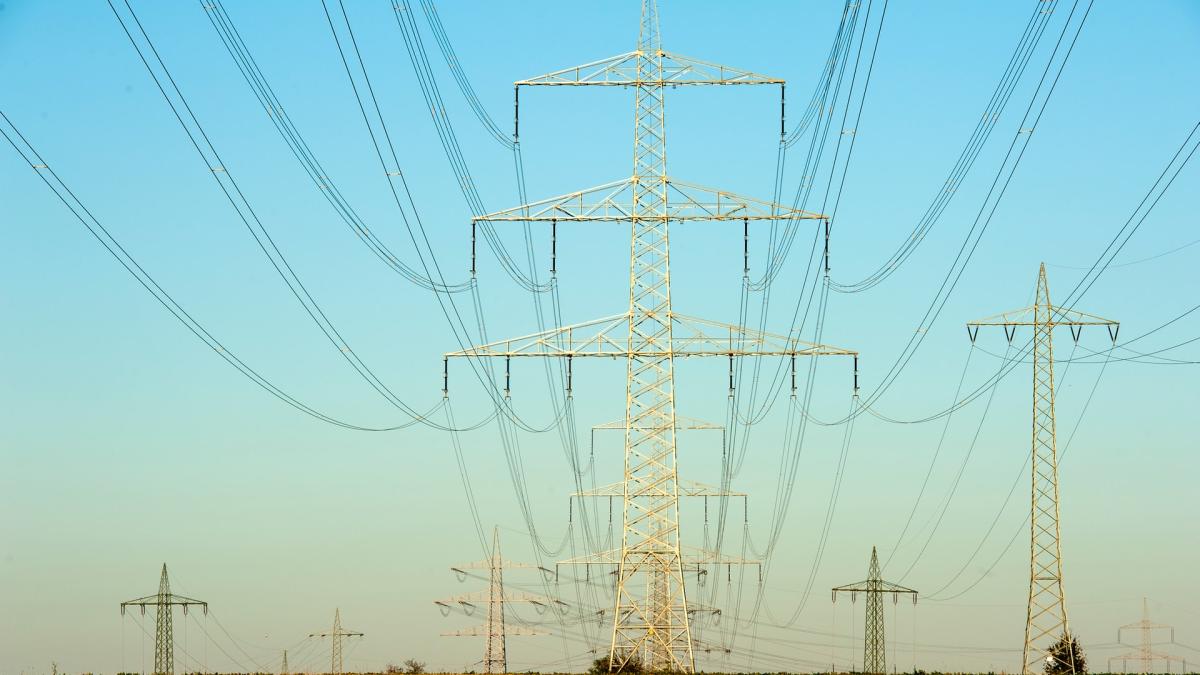 charlotte-venema-wx9zhbpzmqc-unsplash_79291800