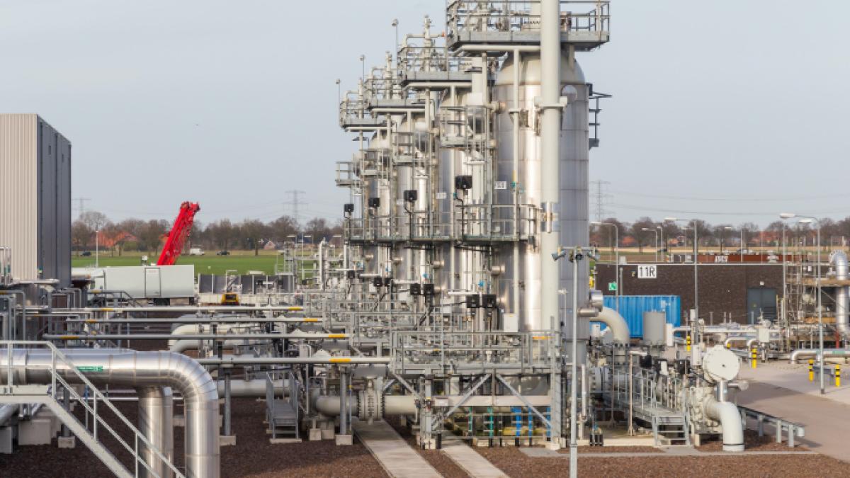 pexels-mariakray-9621653_74992200_94280900