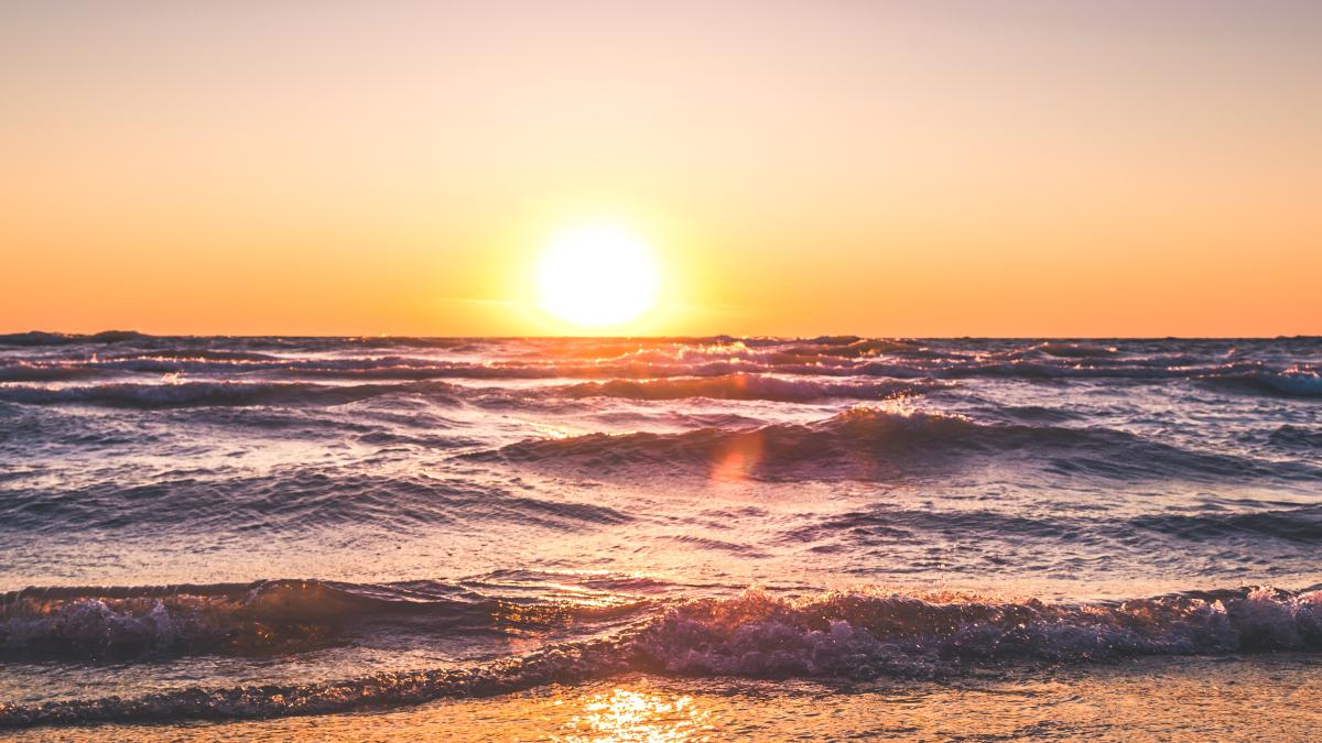 pexels-travis-rupert-1032650_29753600