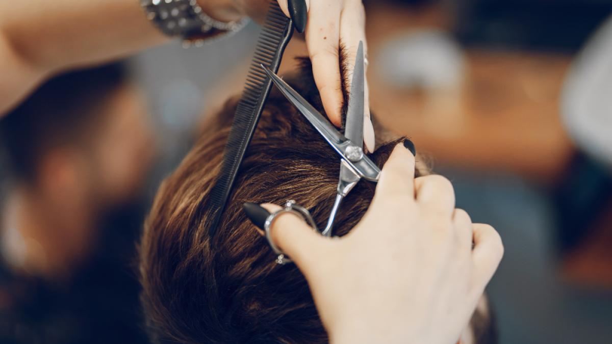 guy-barbershop_44870500