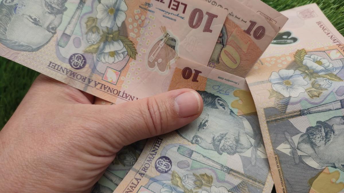 bani-bancnote-lei_06866500