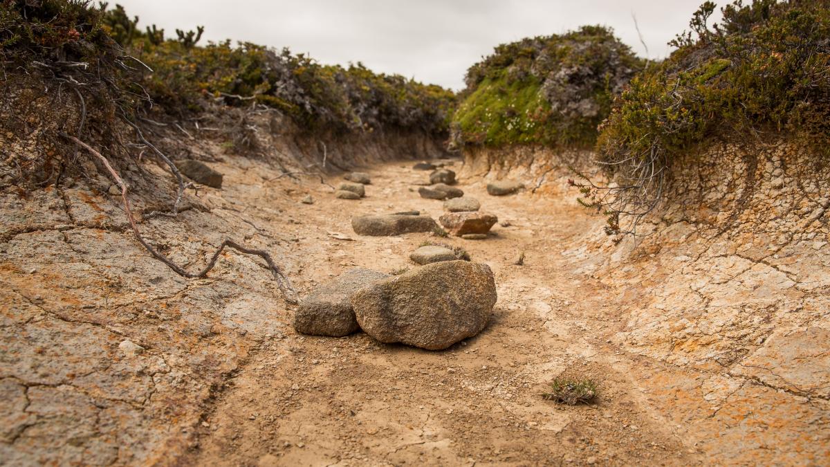 ”Pietrele foamei”, vechi de secole, scoase la iveală de seceta din Europa VIDEO
