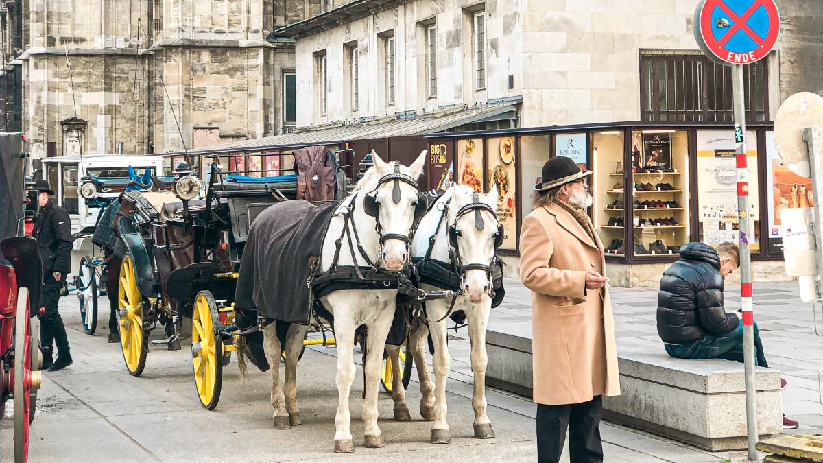 pexels-arzum-kaya-10836588_90180000