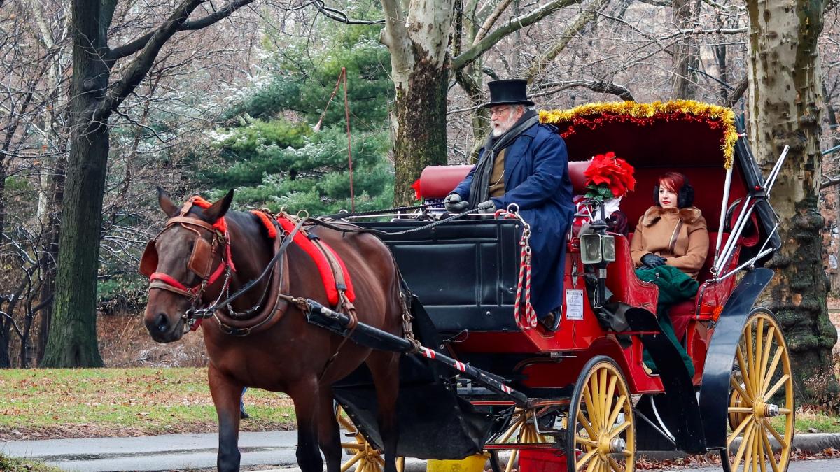 foto-phanatic-l1lf8pzfr_c-unsplash_94128400