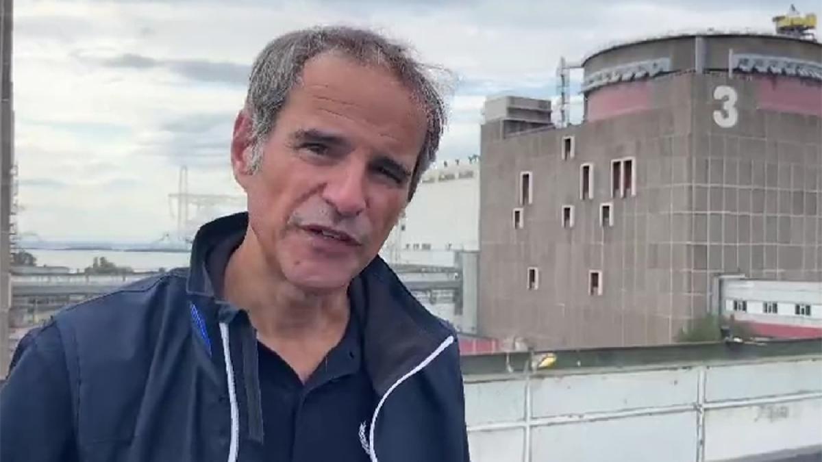 rafaele-grossi-1_31796400