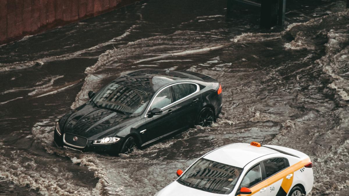 pexels-sveta-k-8568720_11658000