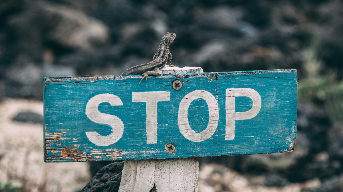 jose-aragones-81qkoopgahy-unsplash_92770100