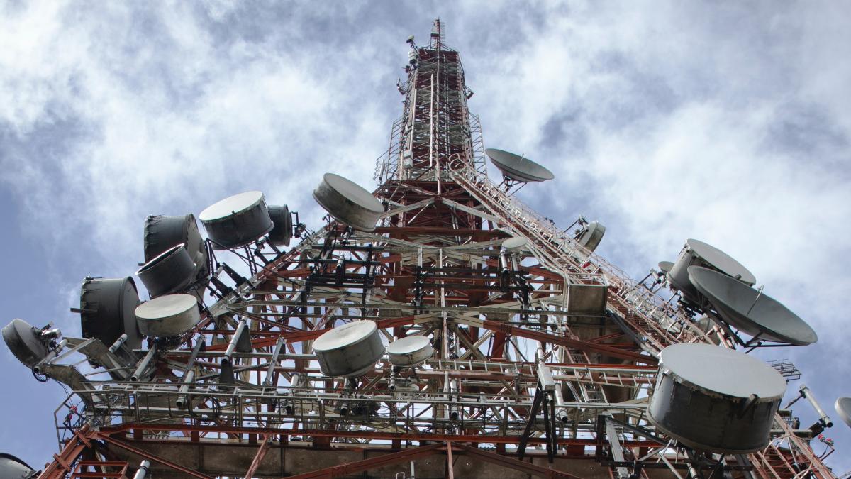 pexels-marcelo-moreira-2186325_60621100