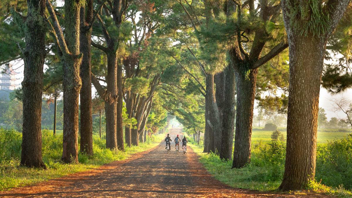 pexels-quang-nguyen-vinh-2131790_65118100