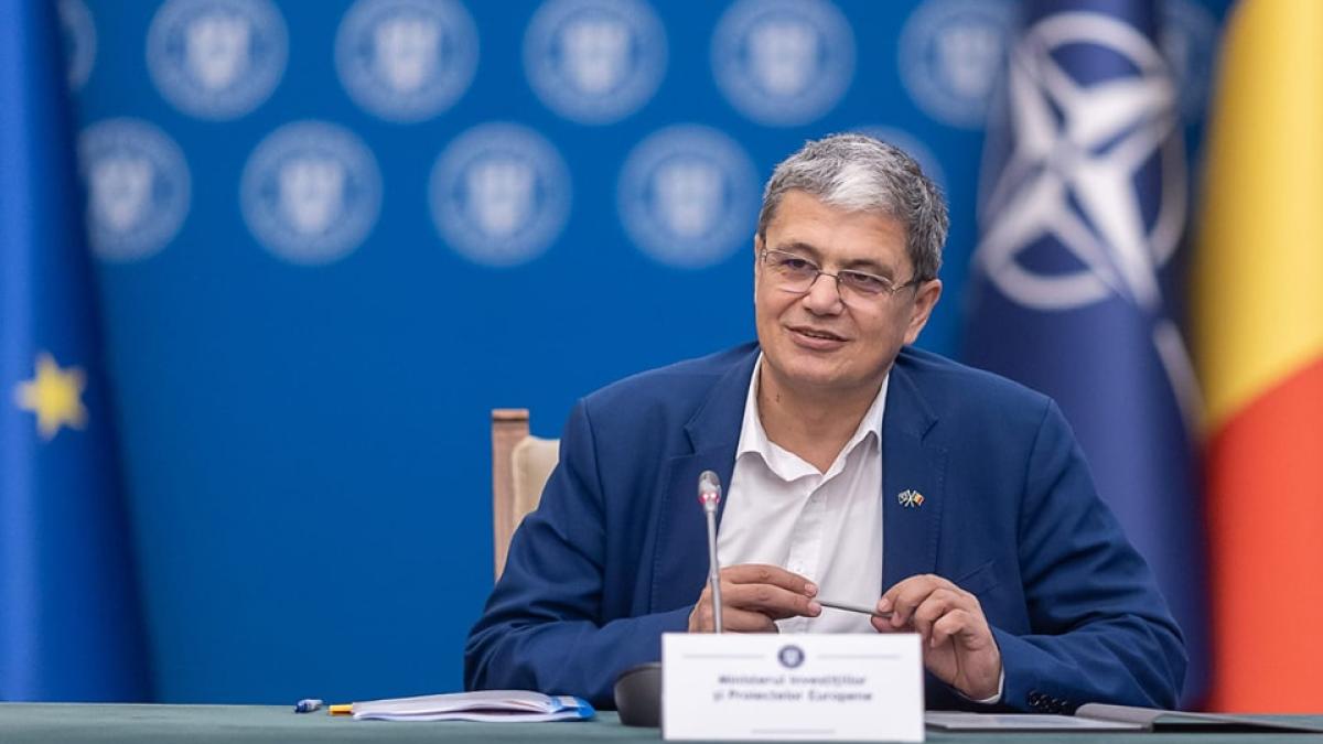 bolos-marcel_81018000