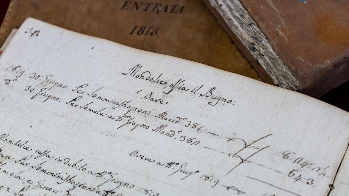 pexels-donatello-trisolino-2355408_49881600