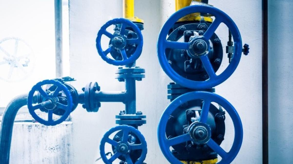 gaze-robineti_61125200