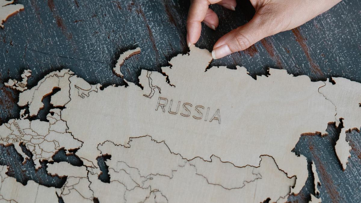 pexels-lara-jameson-8828392_44438000