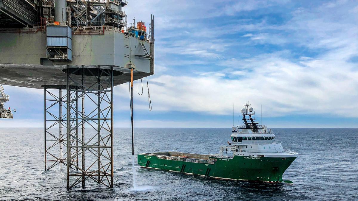 pexels-janrune-smenes-reite-3197704_13921300