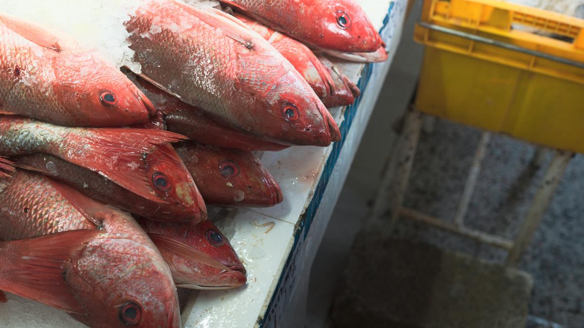 pexels-los-muertos-crew-10039797_87139700