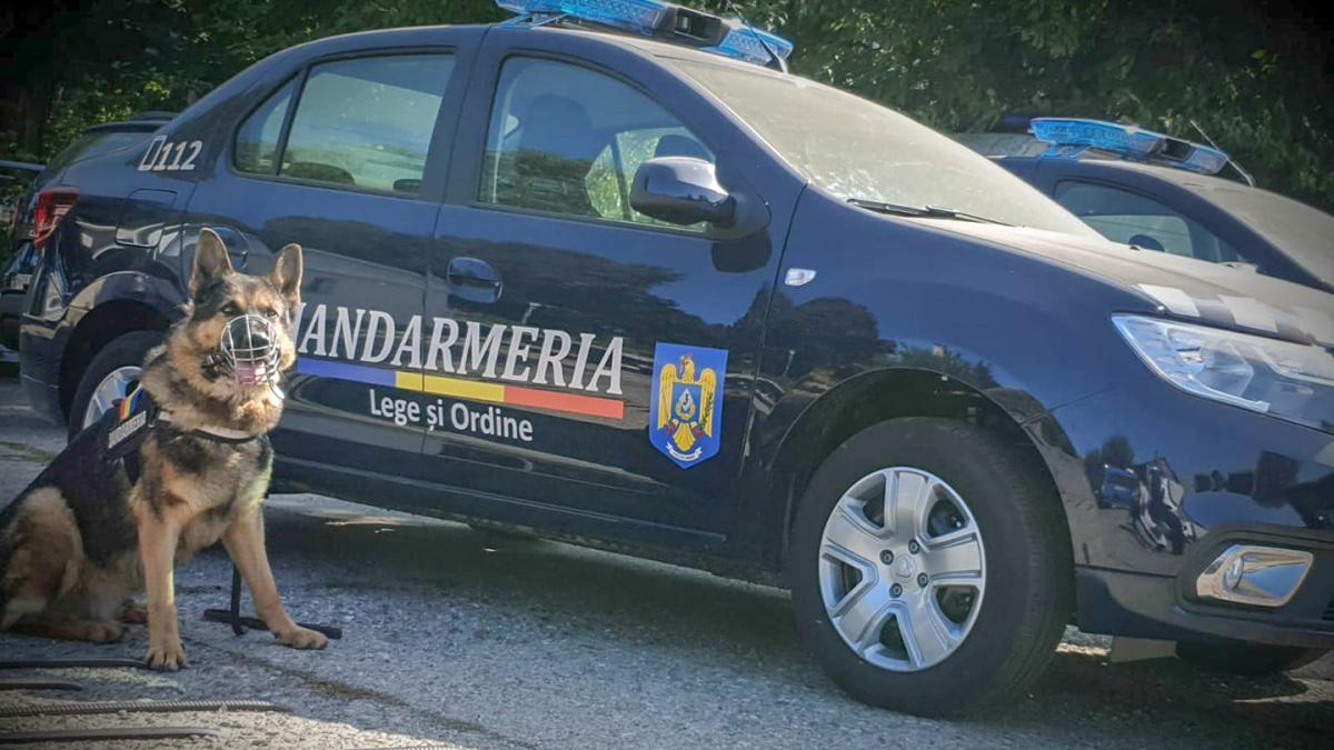 jandarmerie_82159800