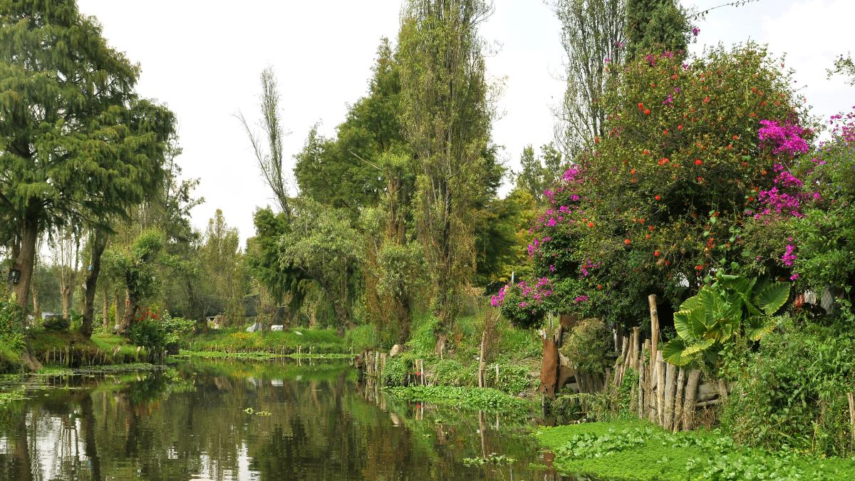 Mexicanii au readus la viață o minune inginerească aztecă  VIDEO