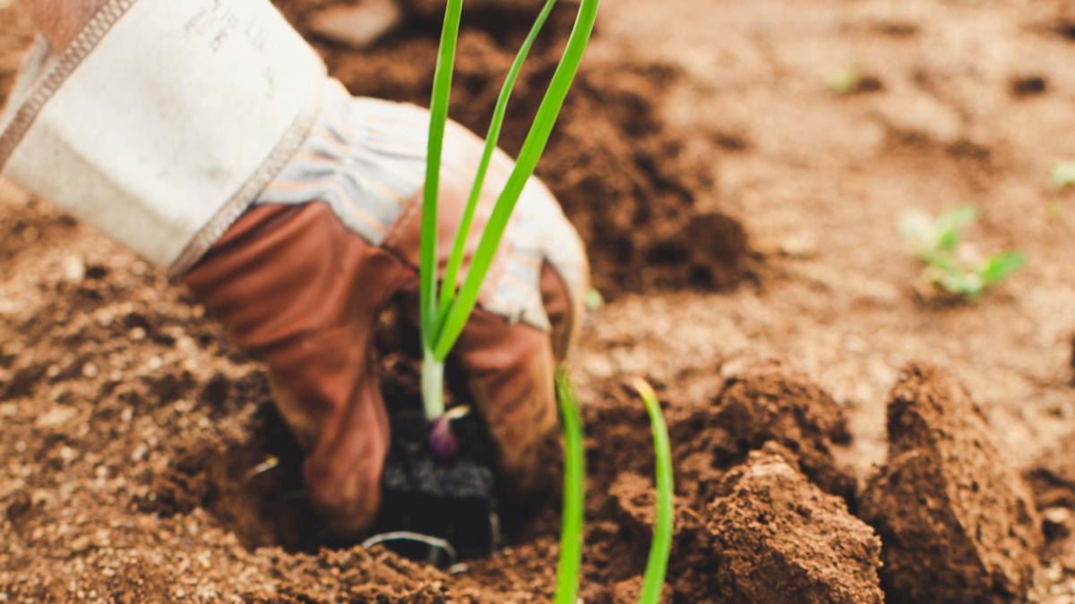 markus-spiske-zsz6wznu12q-unsplash_29021500