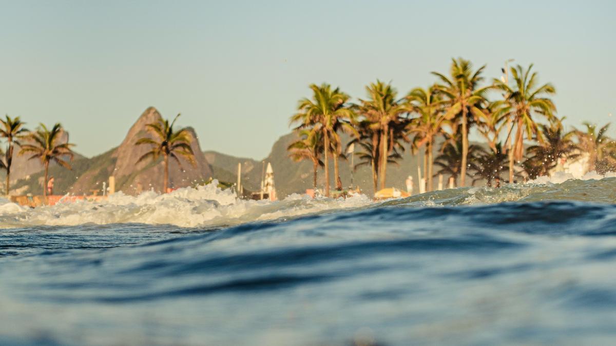 pexels-humberto-baddini-9687365_90940500