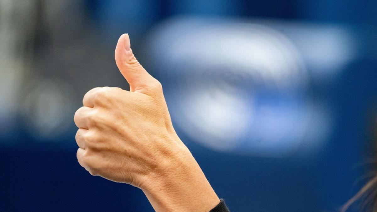 vot-parlamentul-european_resize_87438000