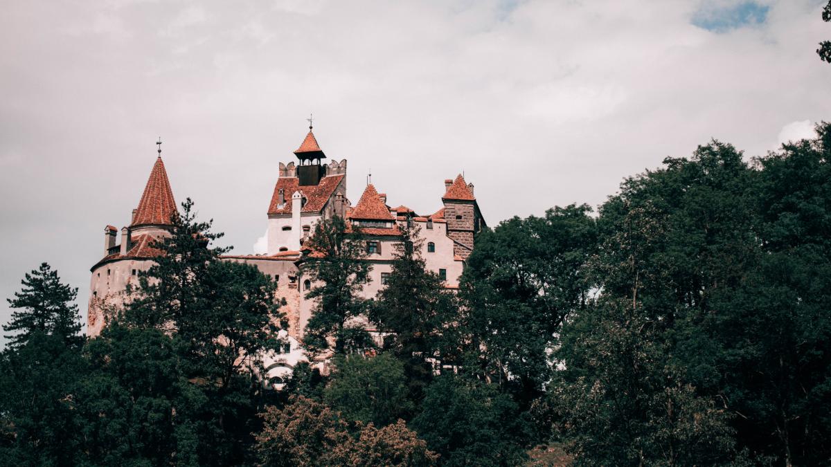 pexels-iulian-patrascu-5105467_50064200