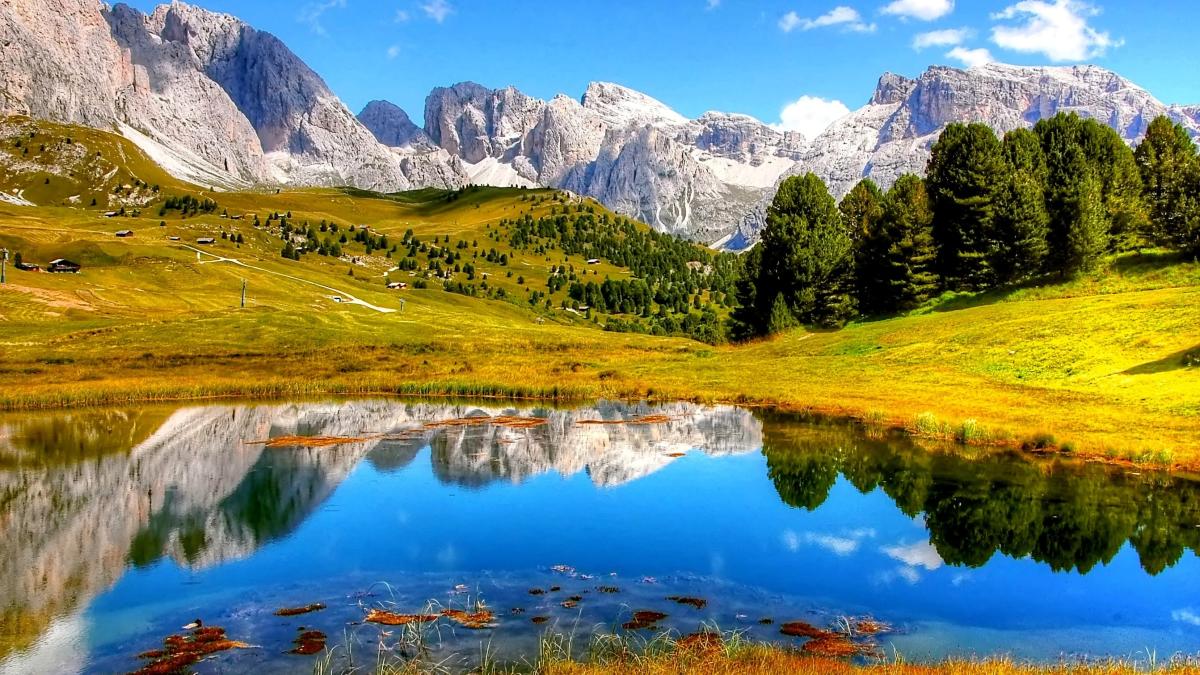 pexels-pixabay-371589_47150800