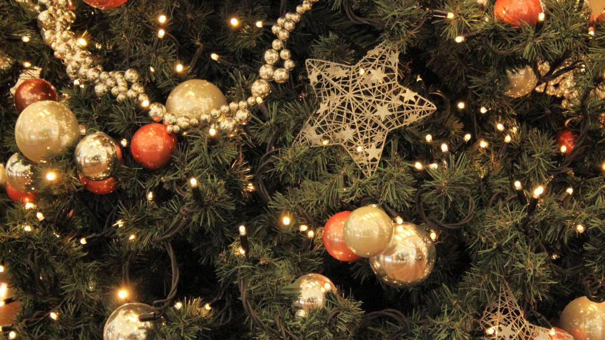 christmas-tree-g6e7f98eb0_1920_97217000