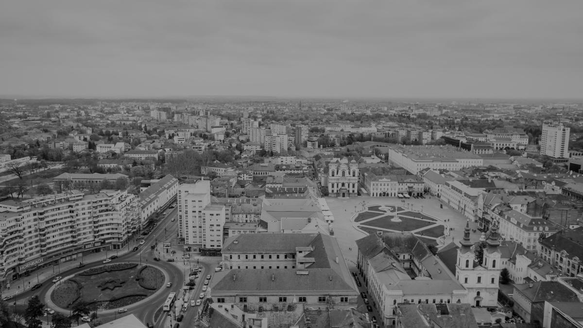 pexels-adrian-frentescu-6324834_89664300