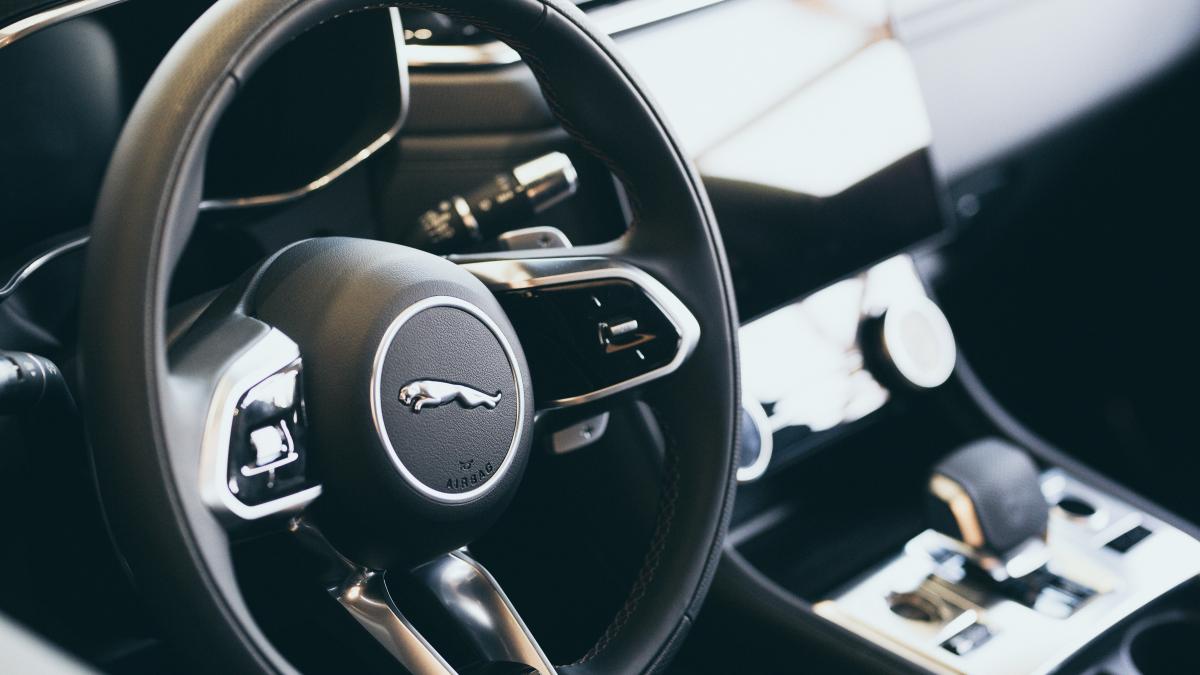 jaguar-pexels-kevin-burnell-12088182_04089300