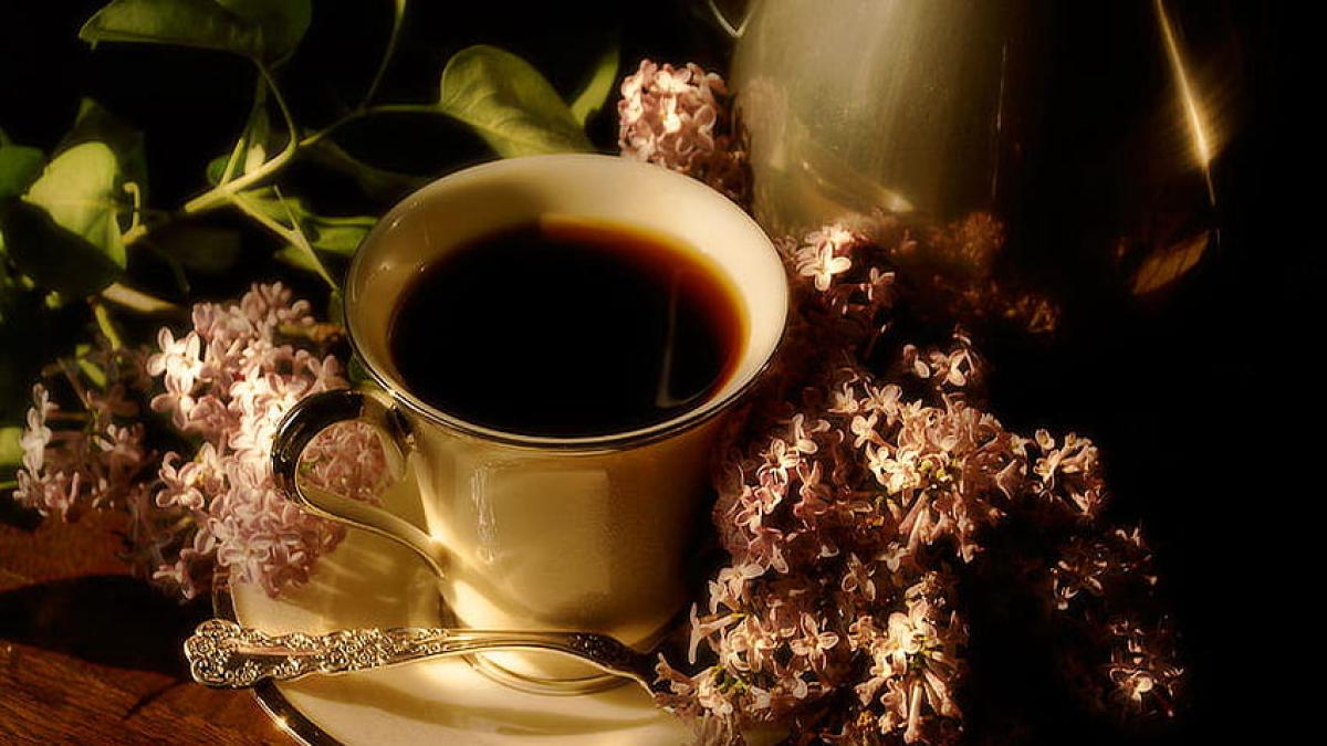 cafea-liliac_79777500