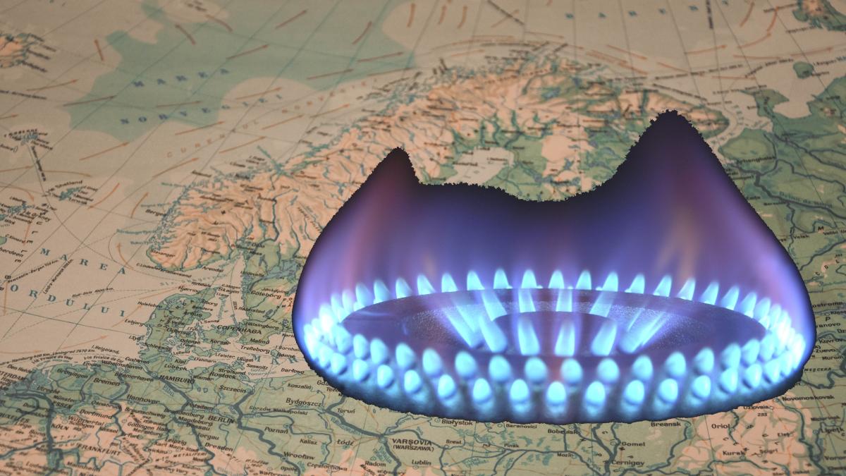 gaze-europa_93088800