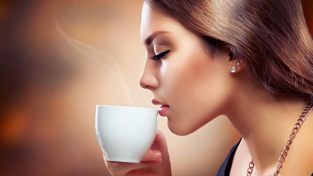 desktop-wallpaper-nature-trees-sun-forest-morning-shadows_10626600