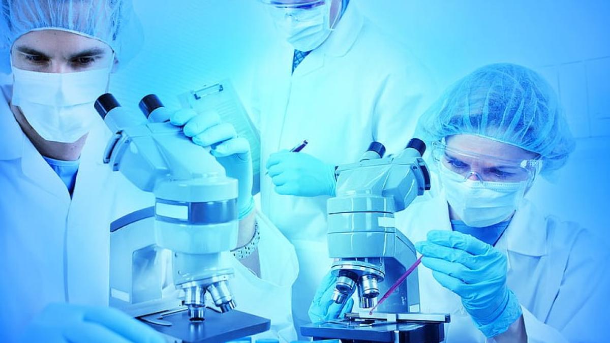 laboratorul_24282200