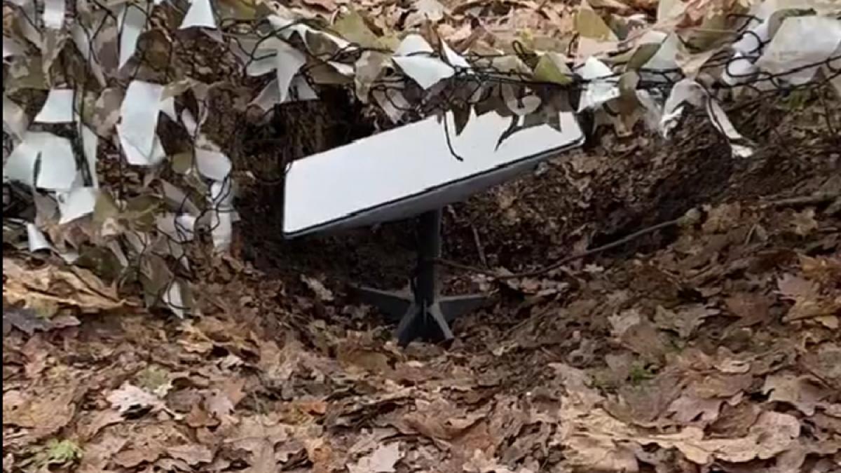 antena-starlink_56864800