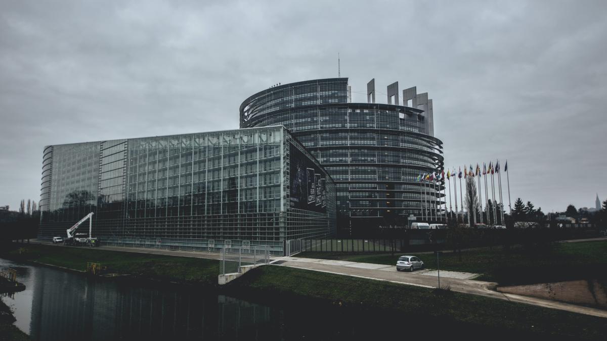 pexels-artur-roman-539746_11222500