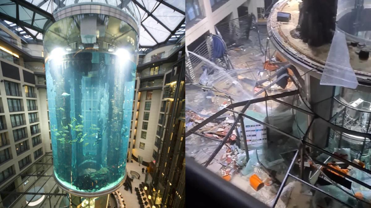 acvariu-explozie_88720600