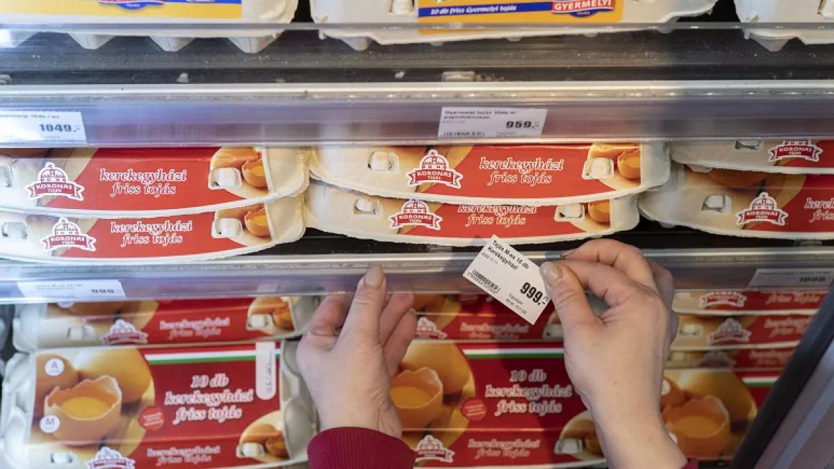 preturi-ungaria_38755500