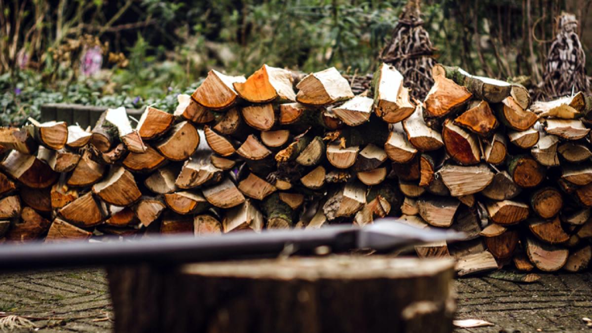 lemn-de-foc_85558800