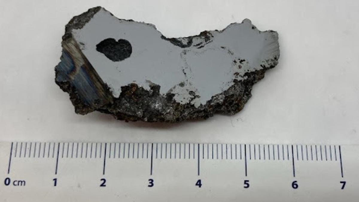 sample-of-the-el-ali-meteorite_84907900