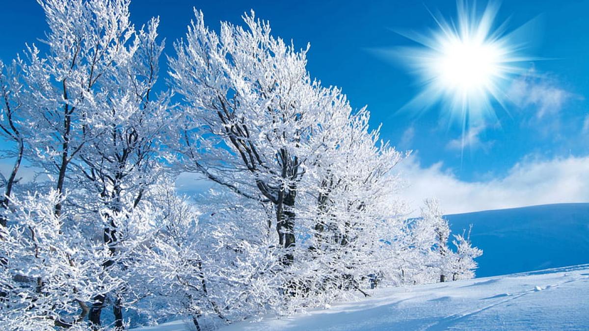desktop-wallpaper-winter-morning-background_39461900