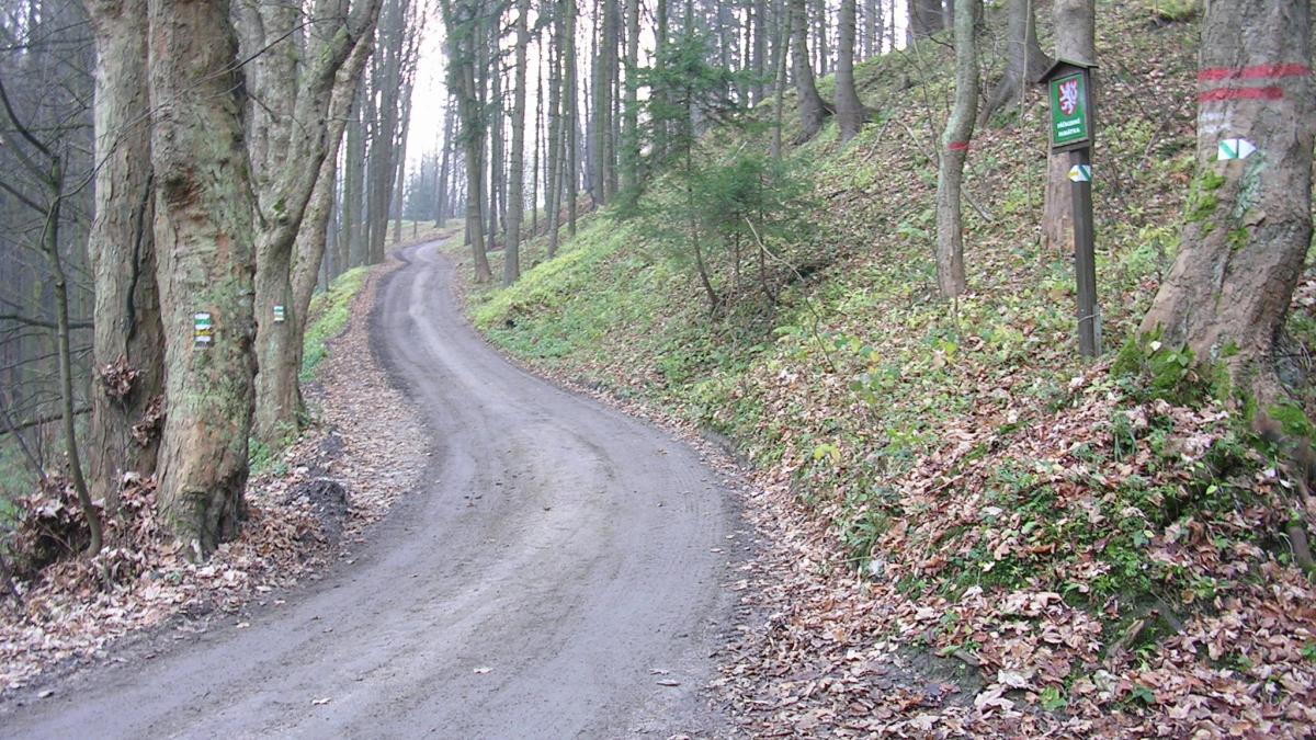 drum-forestier_04499400