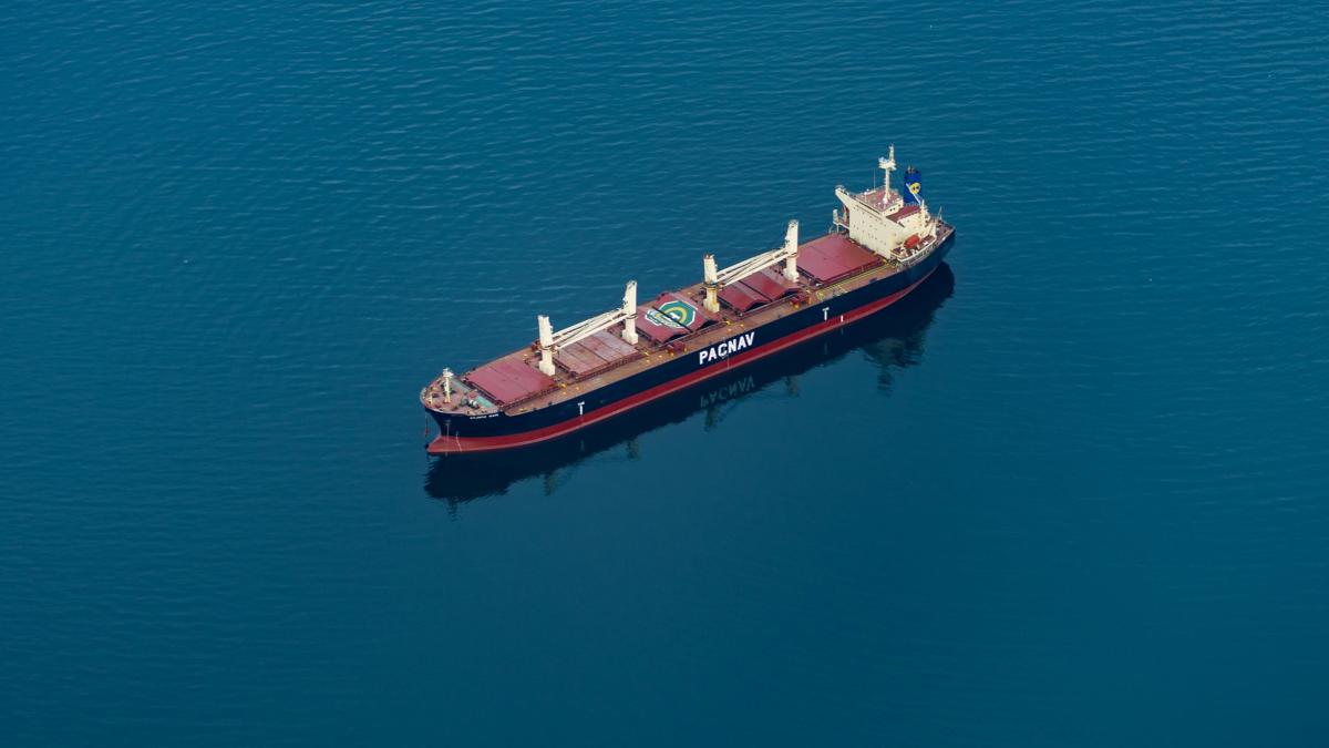 tomas-williams-p-_rjy6hn3e-unsplash_43160300