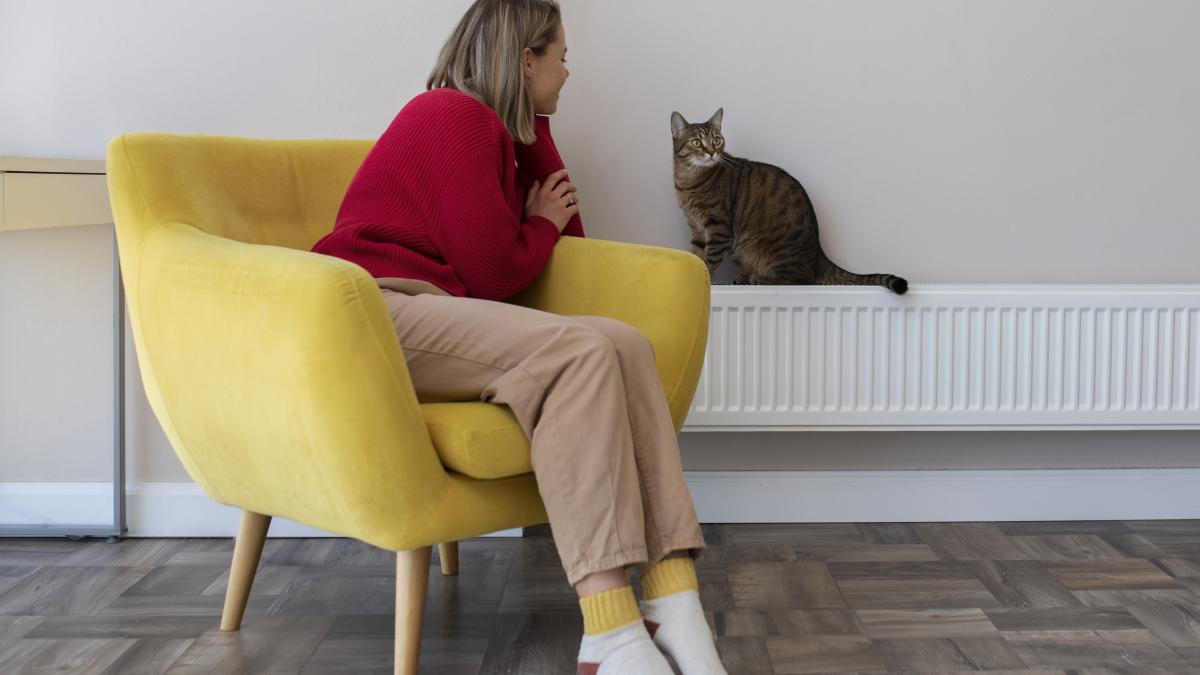 full-shot-woman-looking-cat_05451700