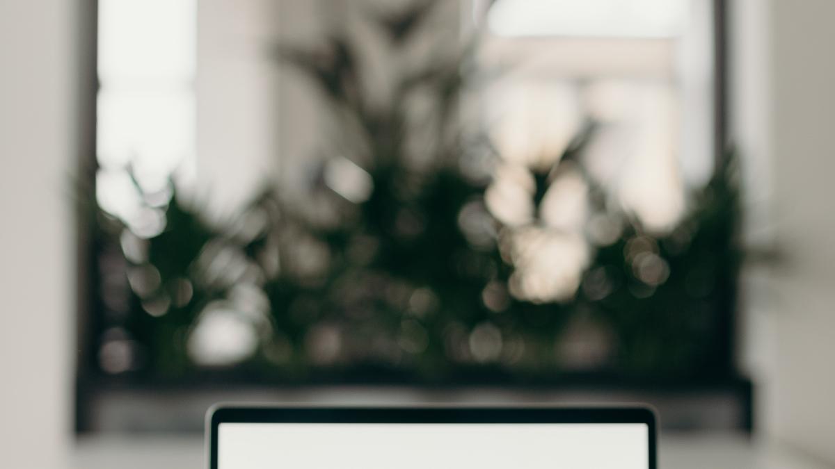 cazier-judiciar-online_57155800