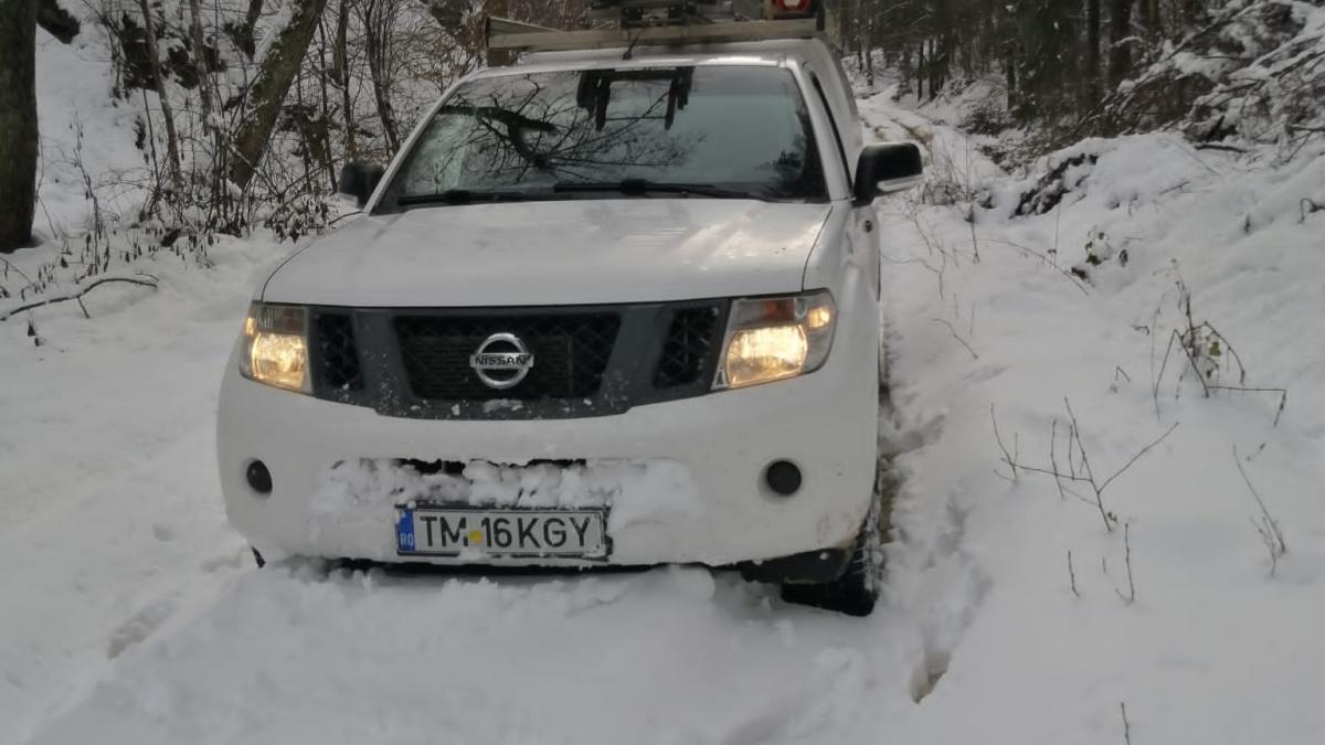 e-distributie-banat-2---5-februarie-2023_49051700