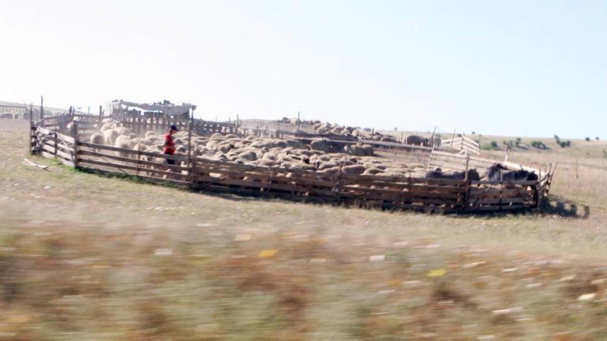 whatsapp-image-2023-02-07-at-13-05-55_85340300