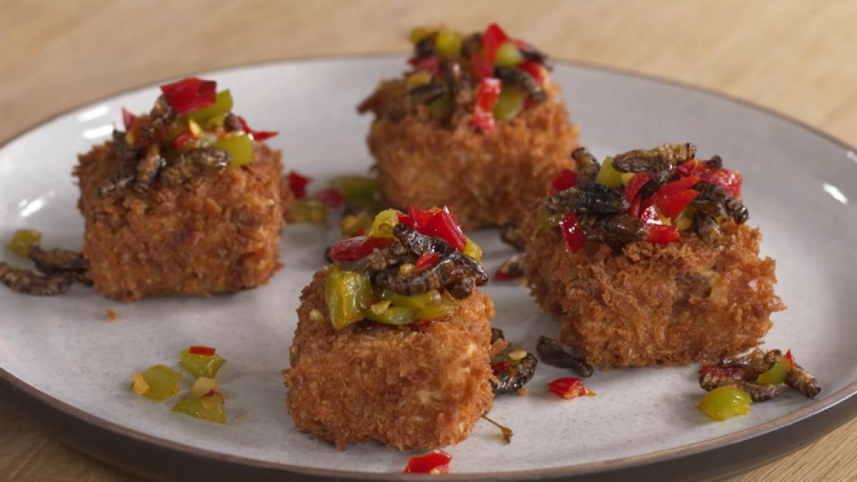 insecte-in-mancare_2_92039700